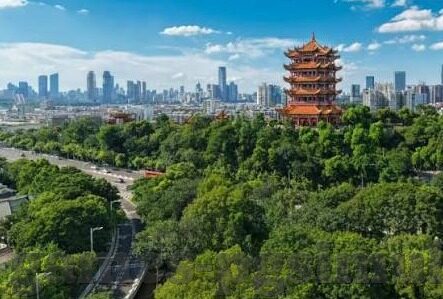 利物浦电竞足球比分-利物浦电竞足球,虚拟绿茵场上的比分盛宴与电竞足球新生态