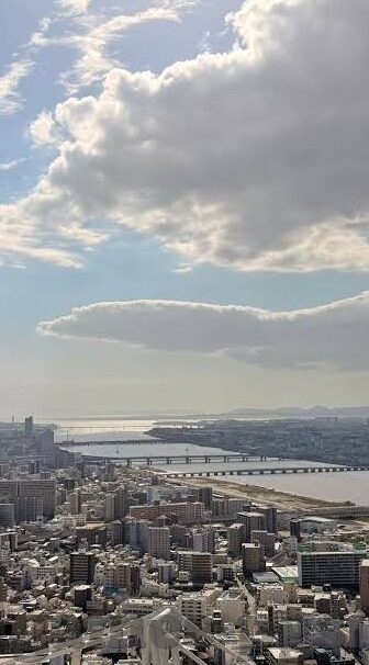 免费下载森林舞会游戏-免费下载森林舞会游戏,一场虚拟森林中的欢乐盛宴